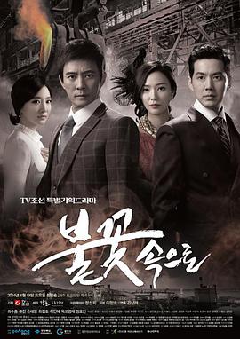 普陀seo优化费用