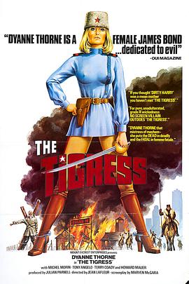 seo排名优化软件方案